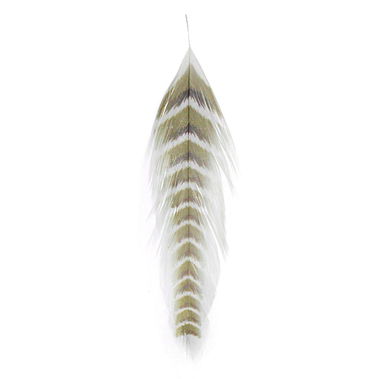 MFC Galloup's Grizzled Fish Feathers Olive/Brown