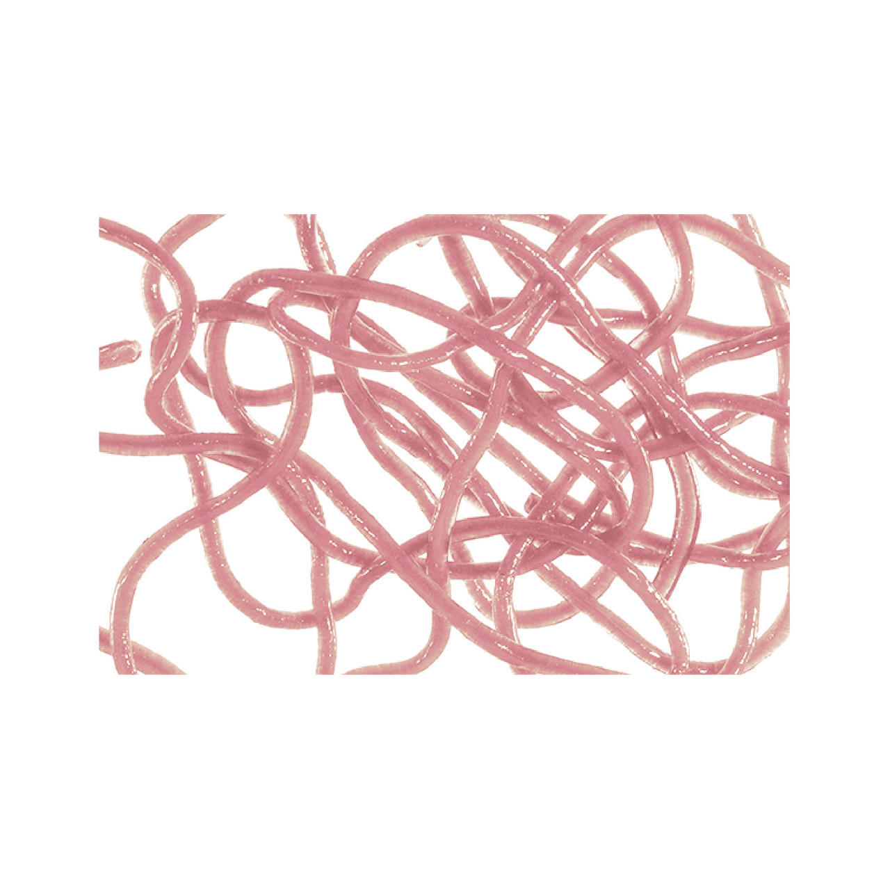 MFC Trina's Squirm Material