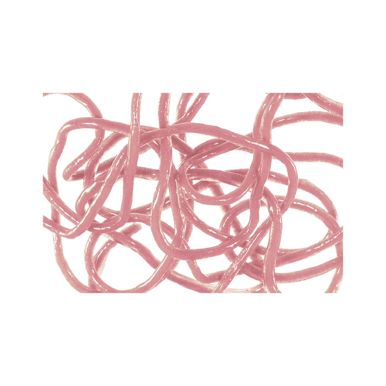 MFC Trina's Squirm Material Medium Pink