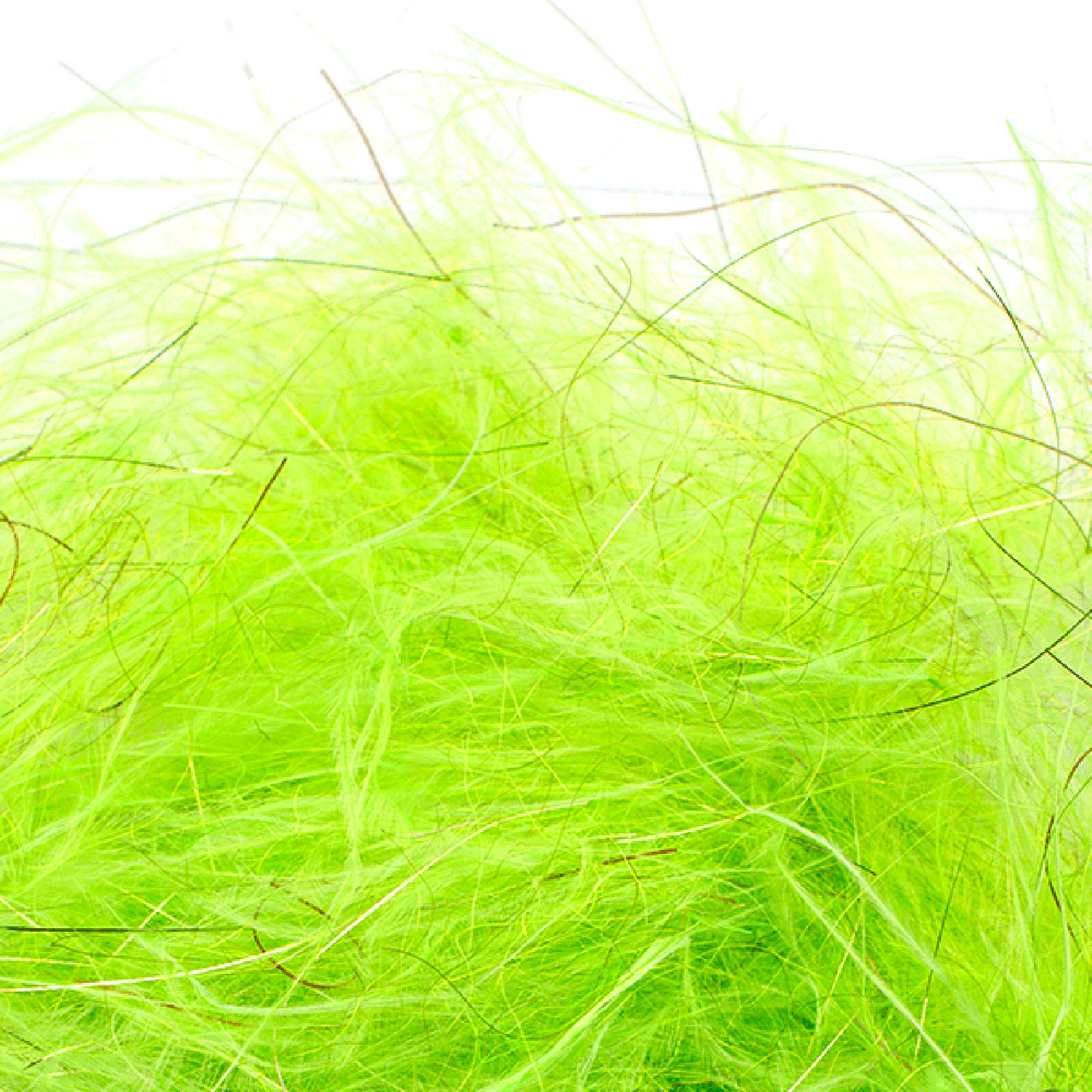 MFC Senyo's Dirty Bird Dubbing