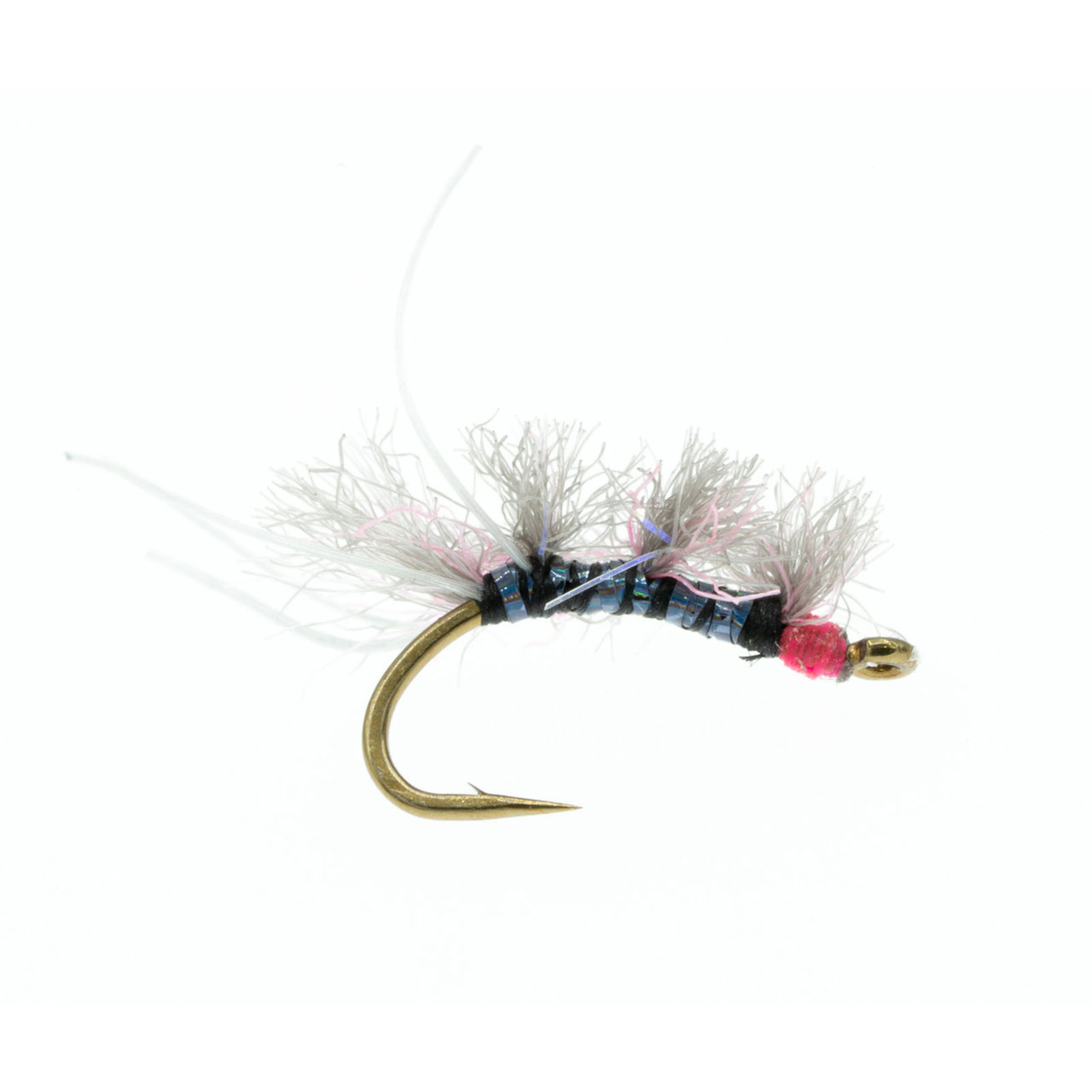 Sow Chow Davidson Fly Gray 18