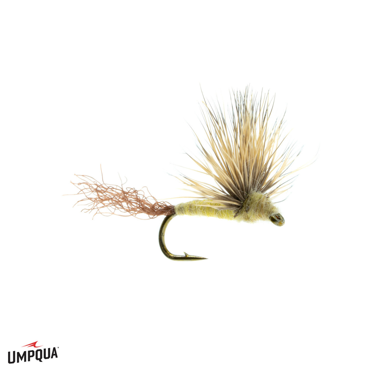 Sparkle Dun Fly Cream Yellow