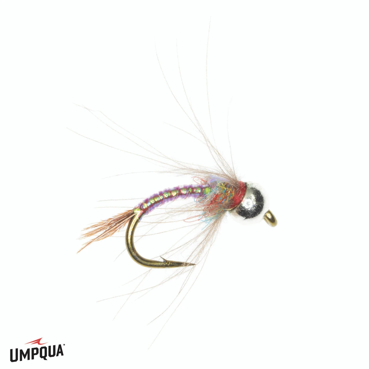 Rainbow Warrior CDC Tungsten Egan Fly Rainbow 22
