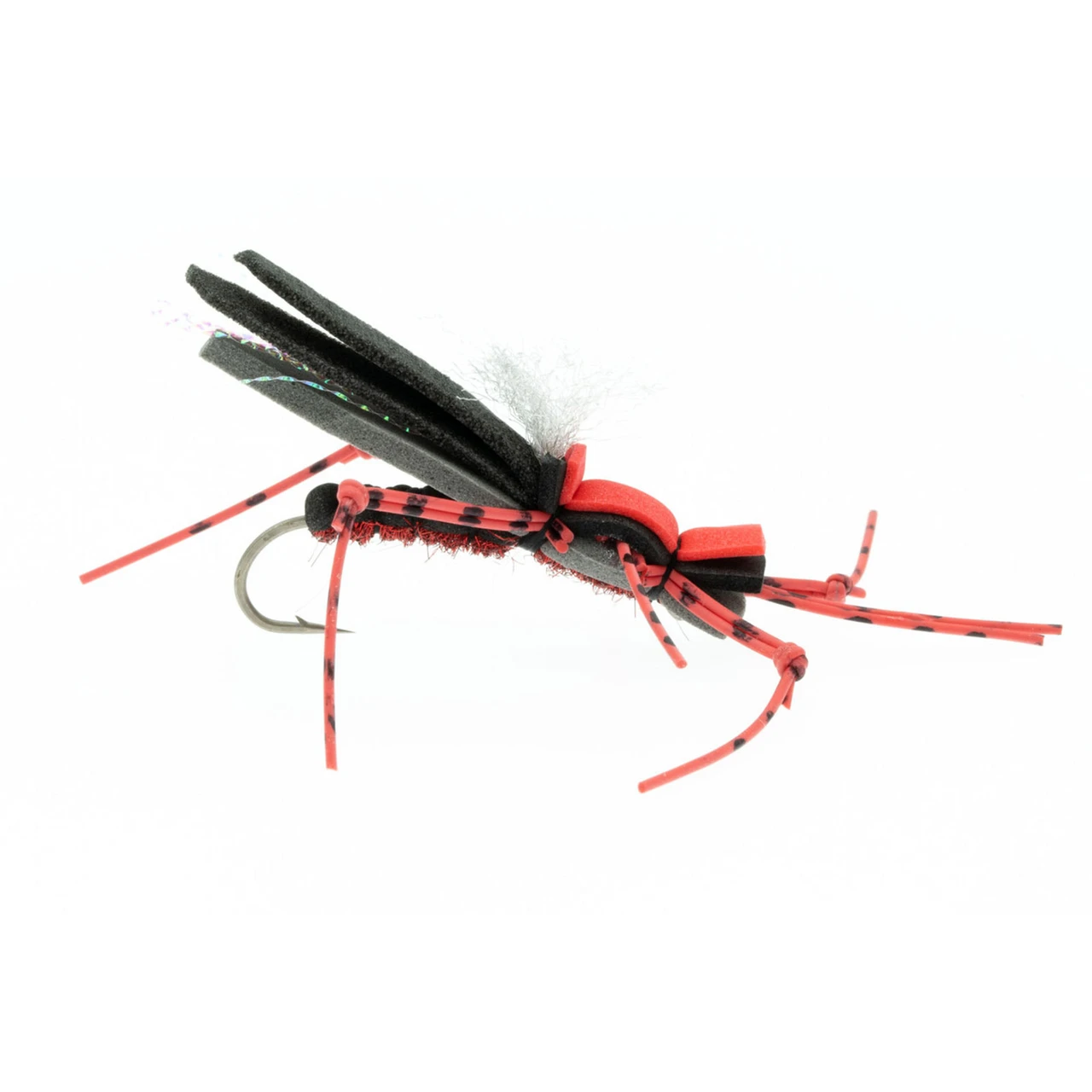 Dancin' Ricky Grillos Fly Royal 10