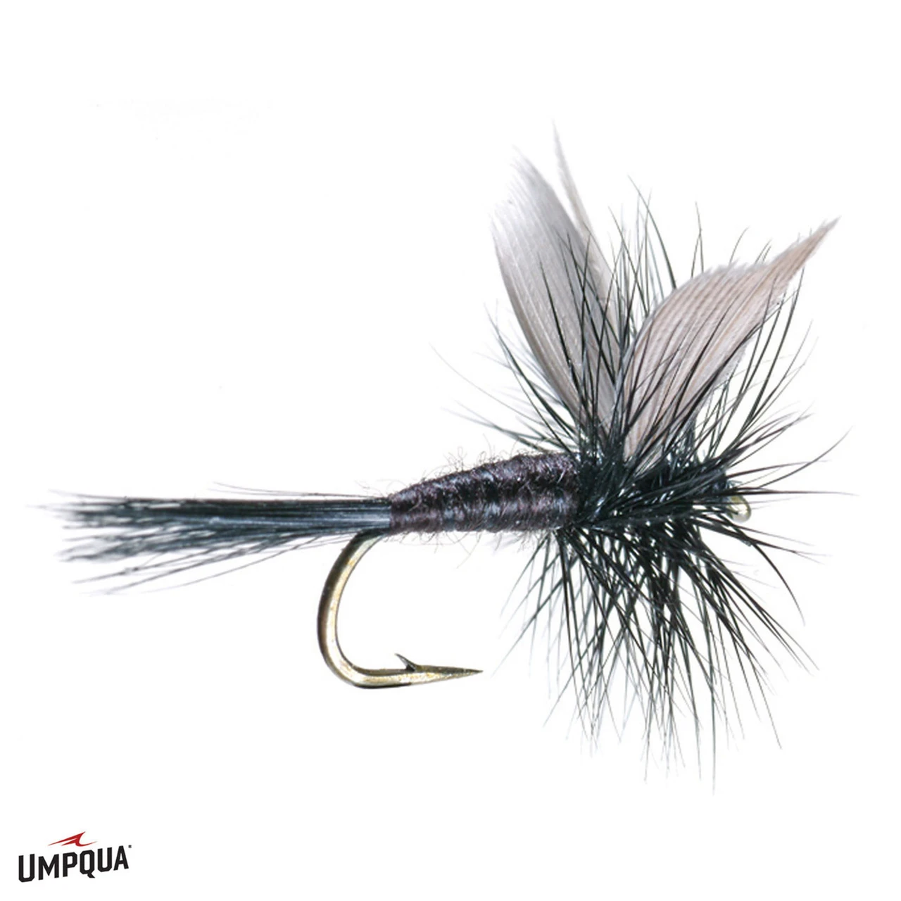 Black Gnat Fly 18