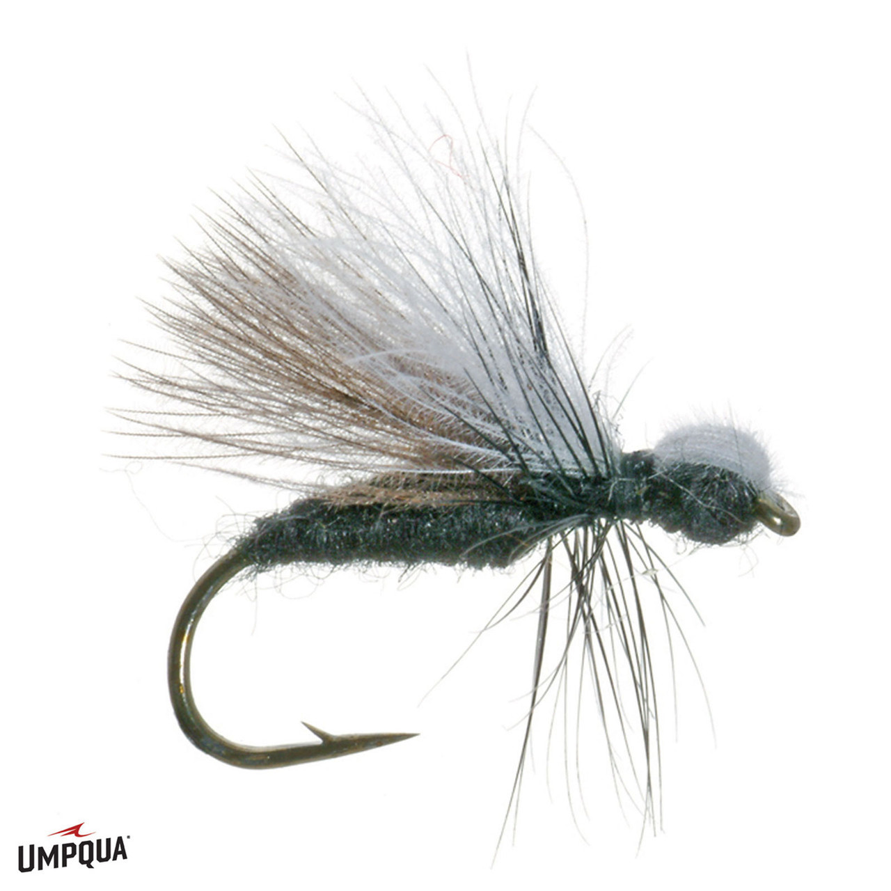 CDC Ant Shimazaki Fly Black
