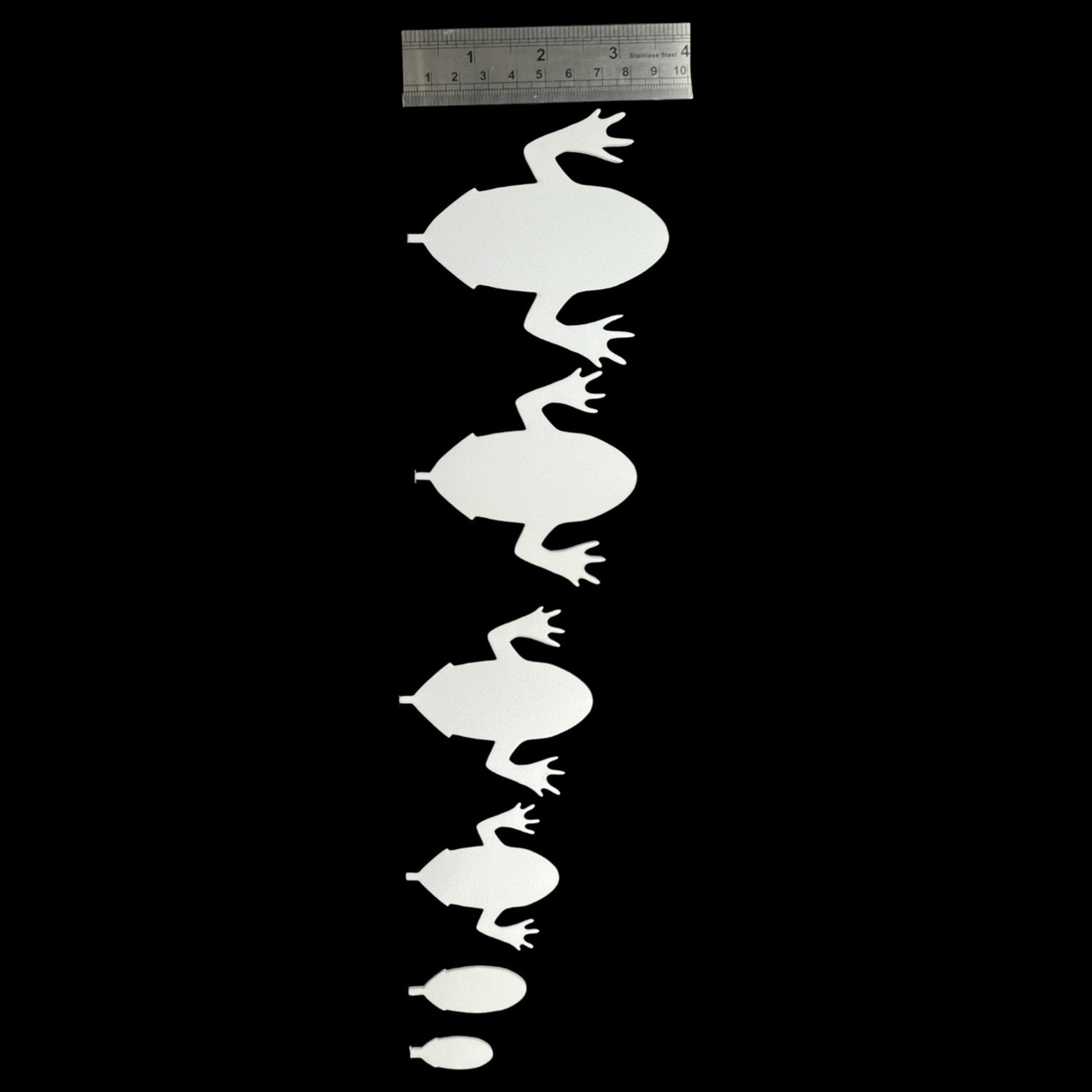 Semperfli ABC Frog Bodies