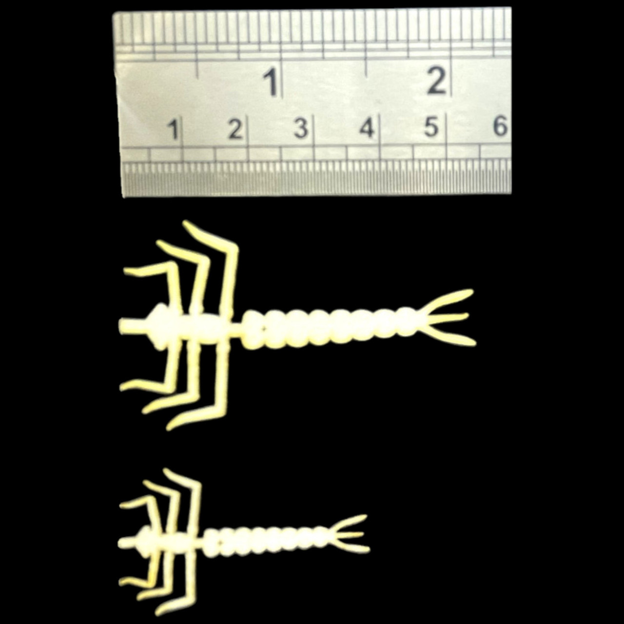 Semperfli ABC Damsel Nymphs