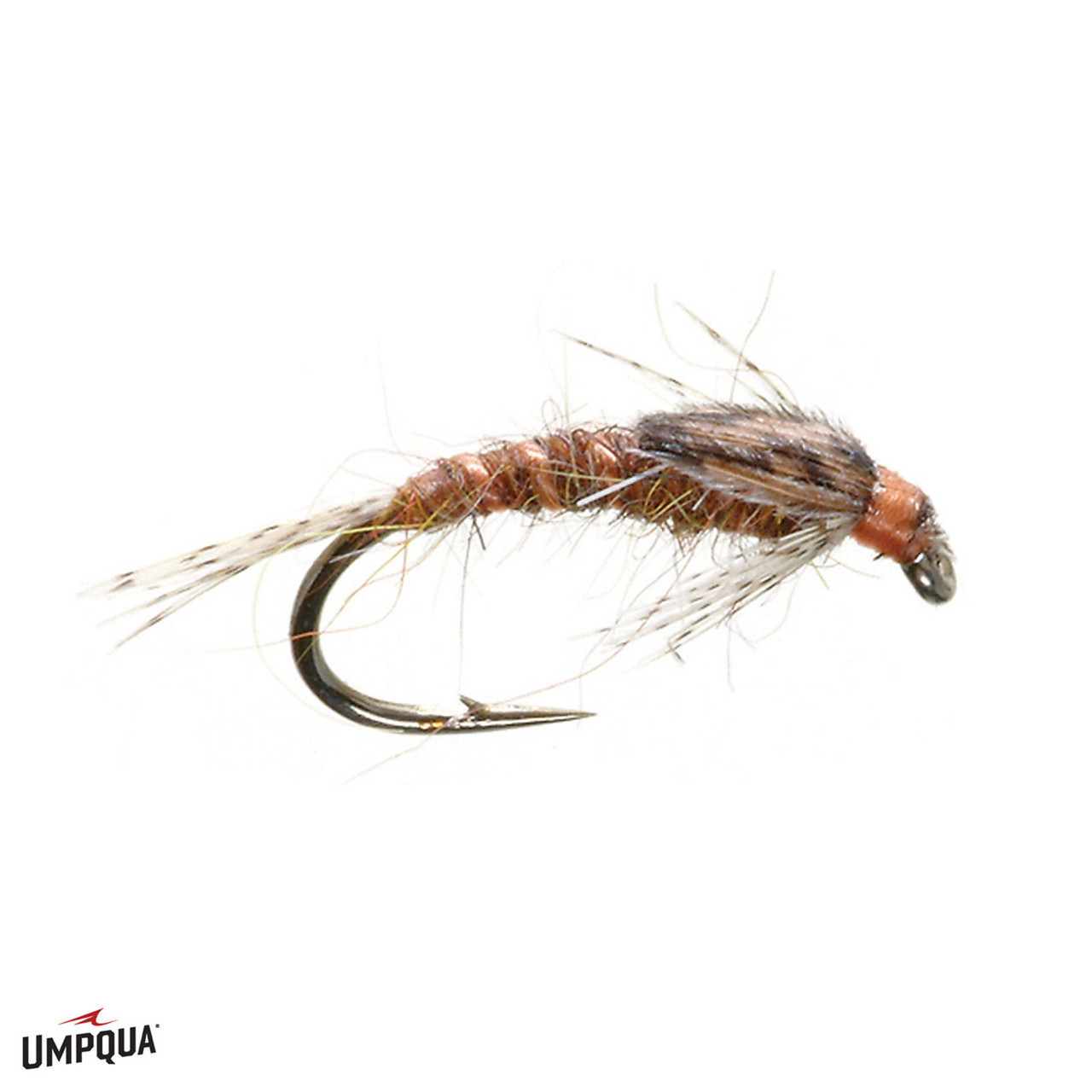 Hunchback Infrequens Burk's Fly