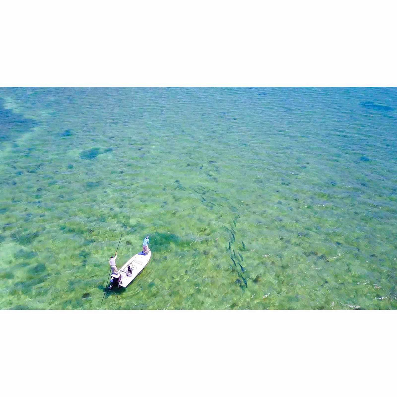 Cortland Tarpon Fly Line - view 1
