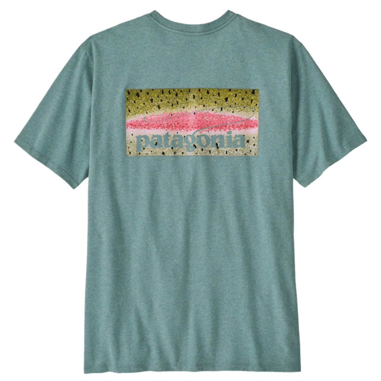 Patagonia Men's Take a Stand Responsibili-Tee Rainbow Run Blue Sage