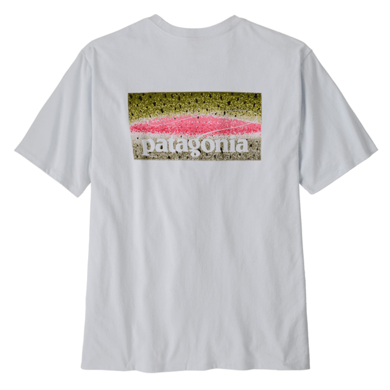Patagonia Men's Take a Stand Responsibili-Tee Rainbow Run White