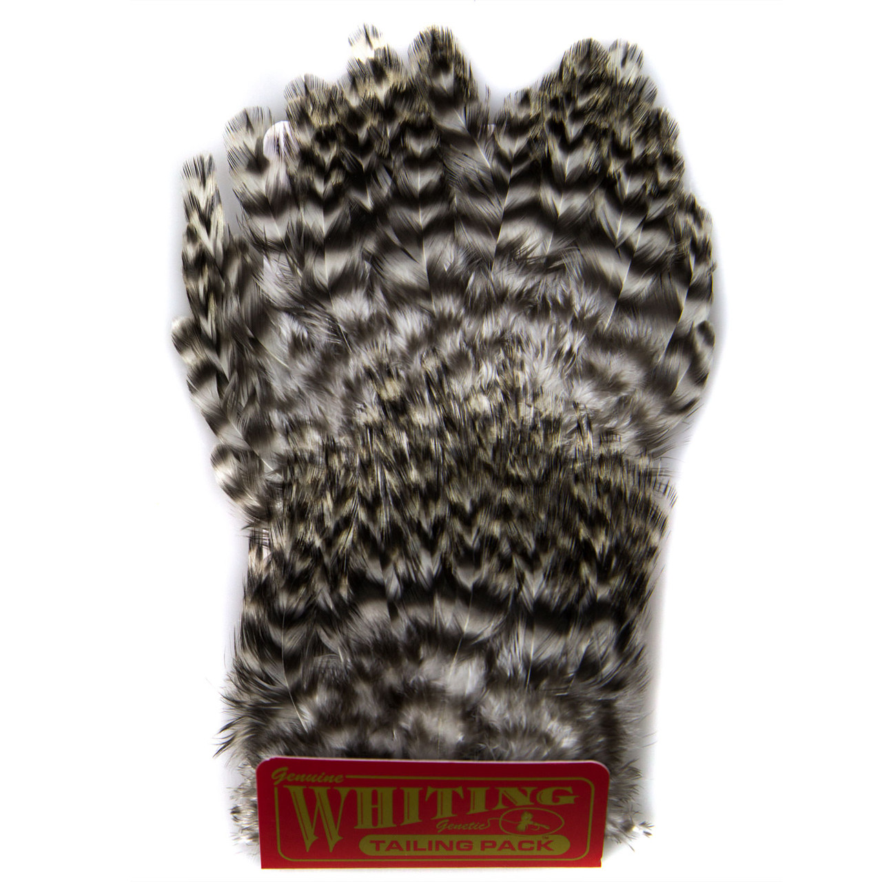 Whiting Farms Coq De Leon Tailing Pack - AvidMax