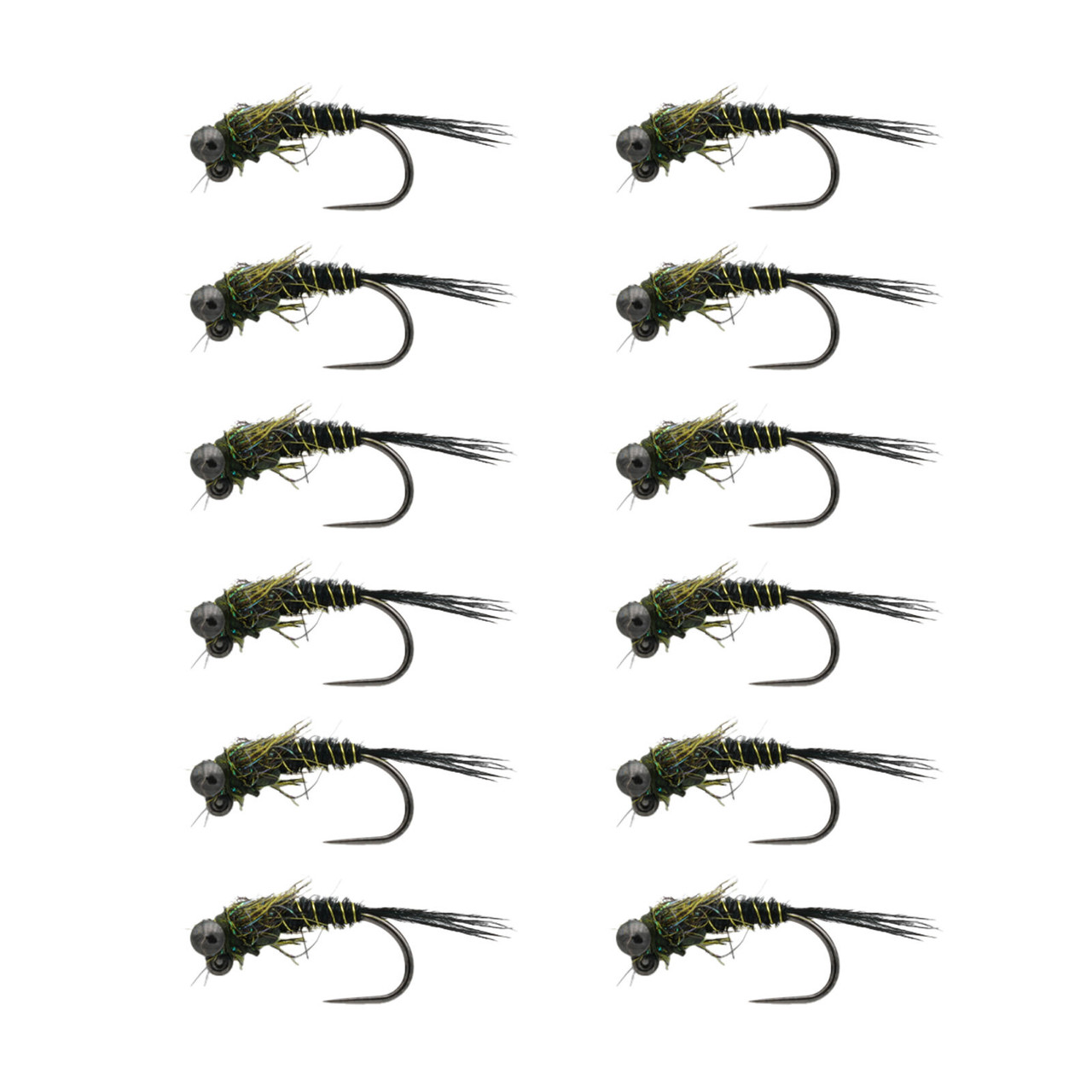 RIO Morrish Pugsly 12 Pack