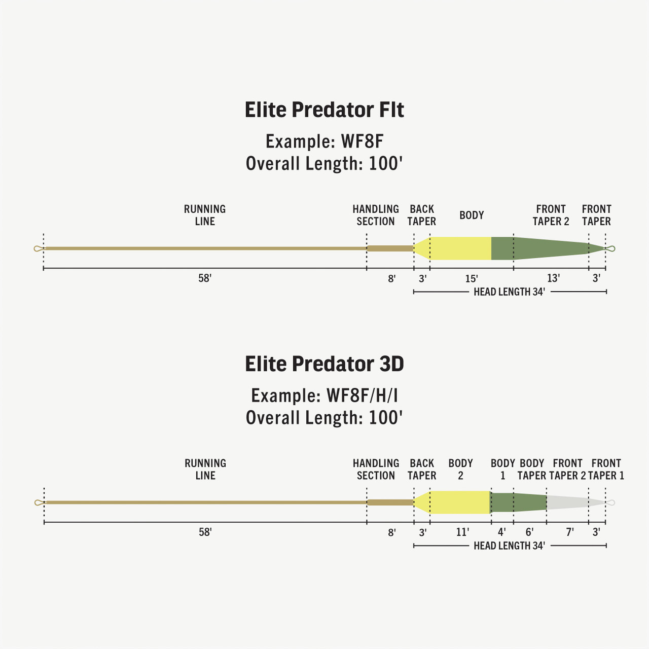 Rio Elite Predator Deep Fly Line Taper Diagram