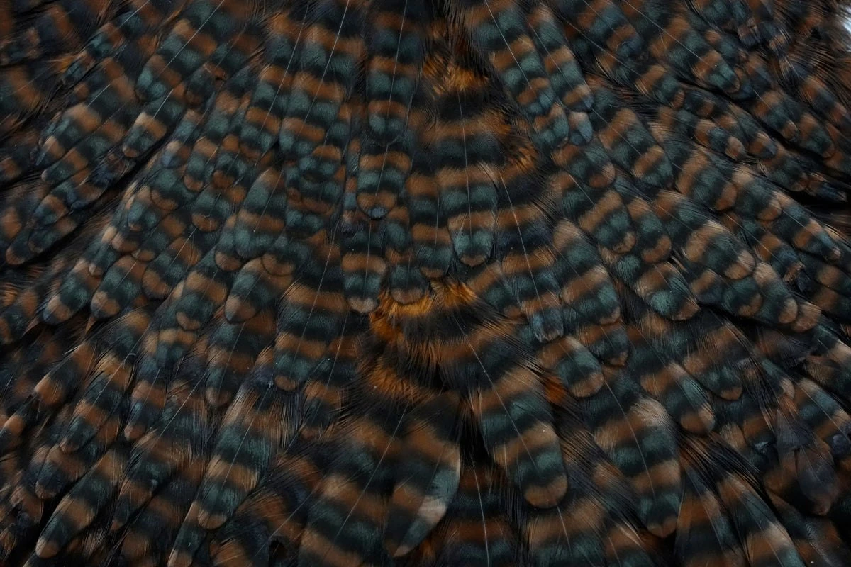 Whiting Hen Saddle - view 6