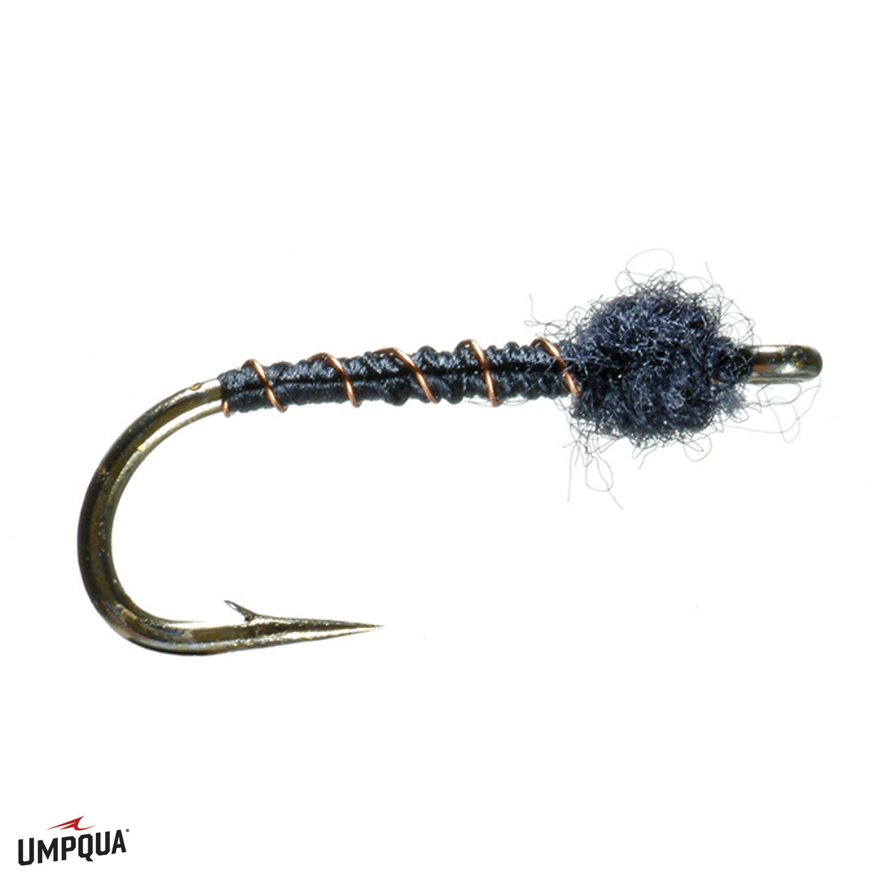 Dorsey's Black Beauty Fly