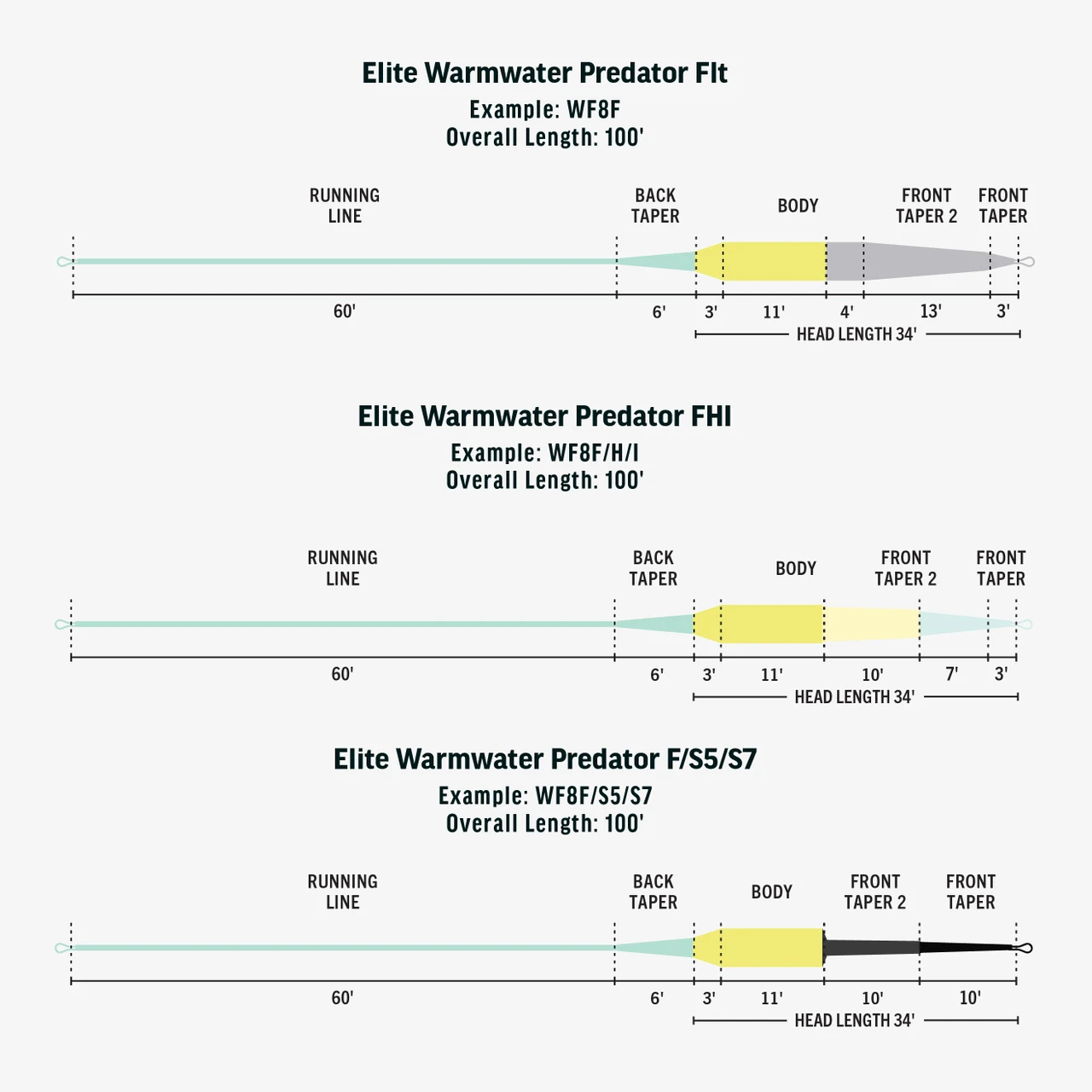 RIO Elite Warmwater Predator Fly Line Taper Diagram