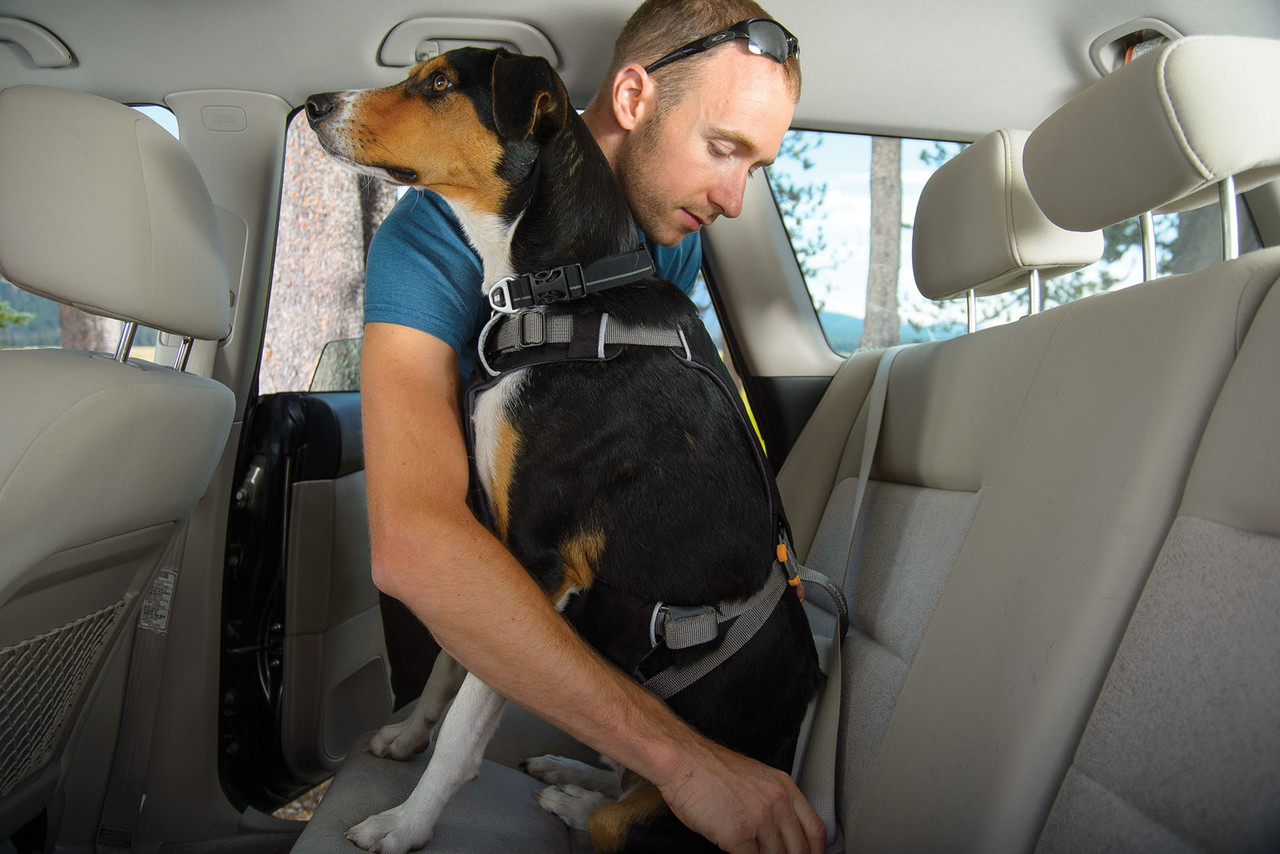 Ruffwear Load Up Dog Harness Restraining System Travel Car Seat Belt