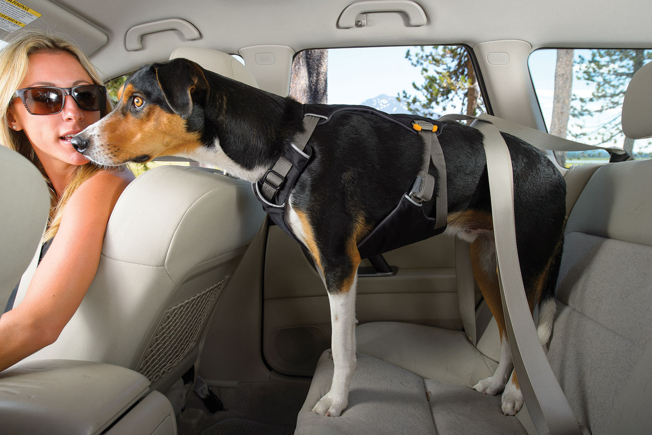 Ruffwear Load Up Dog Harness Restraining System Travel Car Seat Belt