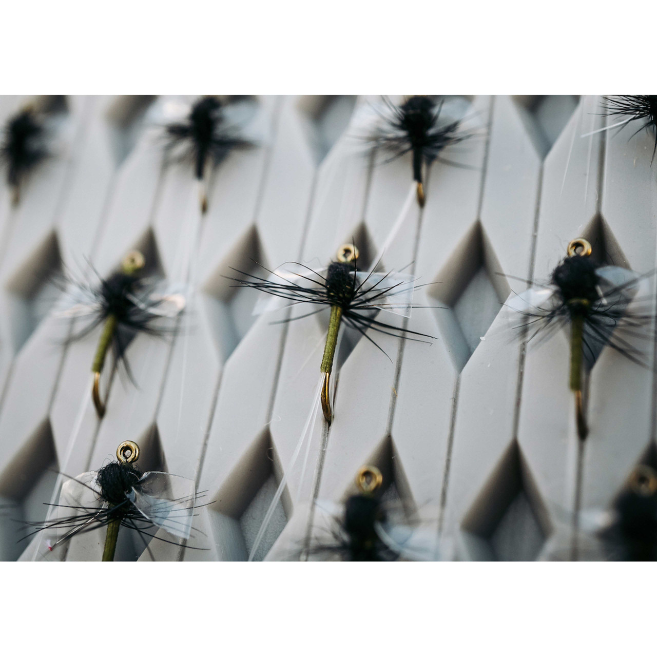Tiemco TMC 101 Standard Dry Fly Hook - view 2