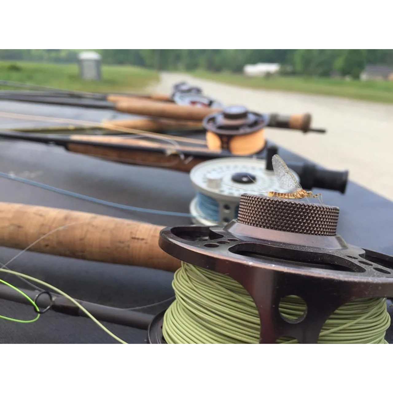 Cortland 444 Classic Modern Trout Fly Line Weight Forward Taper