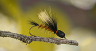 How to tie the Henry’s Fork Salmonfly - Tying Tuesday June 8th 2021