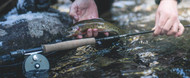 FREE Rio Premier Creek line with a G. Loomis IMX-PRO Creek Rod