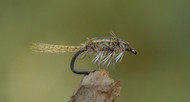 How to tie Rickards Callibaetis - Tying Tuesday July 6th 2021