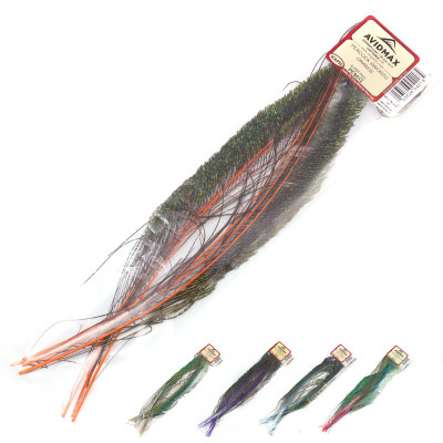 Wapsi Peacock Swords