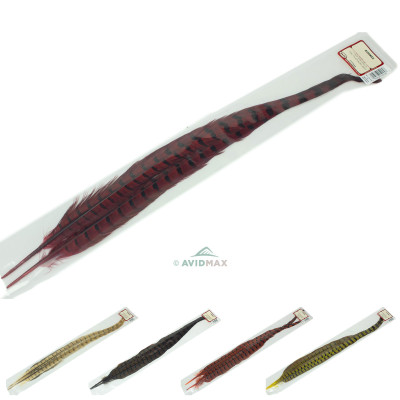 Wapsi Ringneck Tail Feathers - One Pair