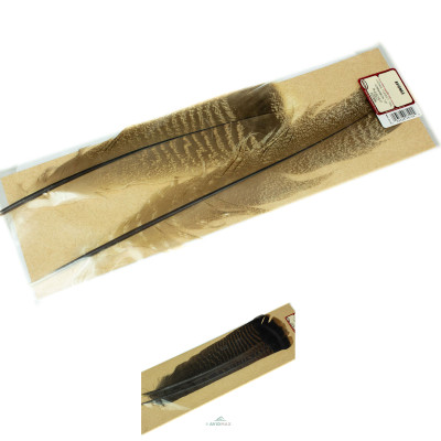 Wapsi Ozark Turkey Tail