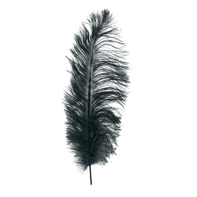 MFC Ostrich Plume MFC Ostrich Plume