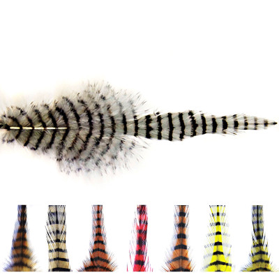 MFC Barred Saddle Hackle