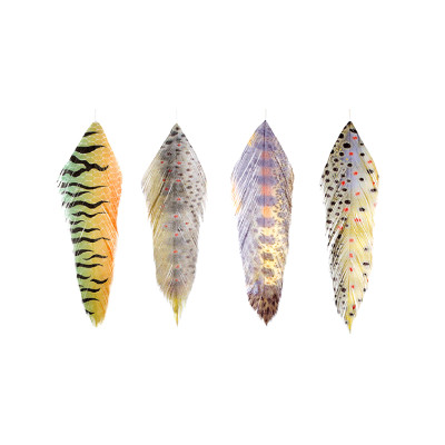 MFC Galloup's Fish Feathers