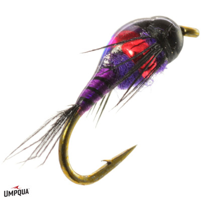 Two Bit Hooker Fly | Black