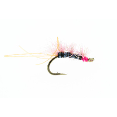 Sow Chow Davidson Fly | Pink Sow Chow Davidson Fly | Pink