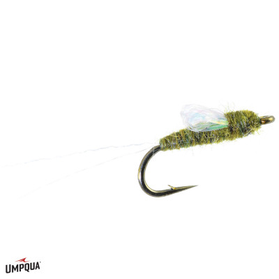 Sparkle Wing RS-2 Fly | Olive Sparkle Wing RS-2 Fly | Olive