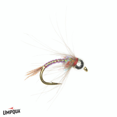 Rainbow Warrior CDC Tungsten Egan Fly Rainbow