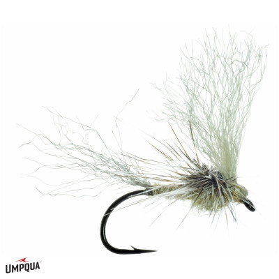 May Day Fly | Callibaetis May Day Fly | Callibaetis