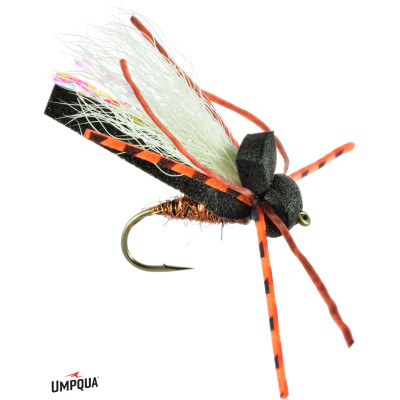 Flat Head Cicada Fly