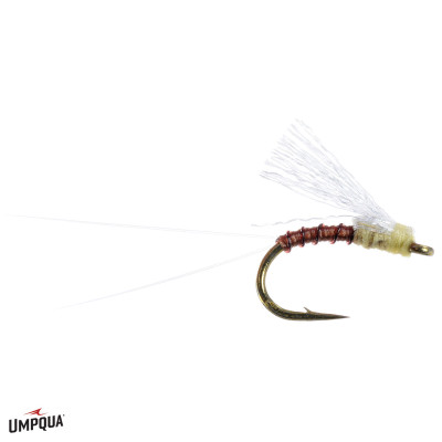 Magic Fly Passage's Fly | PMD Magic Fly Passage's Fly | PMD
