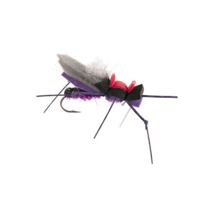 Dancin' Ricky Fly | Purple