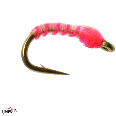 Neon Nightmare Fly Pink