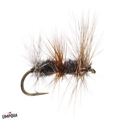 GT Triple Double Fly Black
