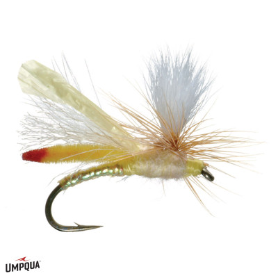 Headlight Fly | Yellow