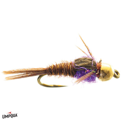 Hot Belly Pheasant Tail Gold Bead Fly Purple