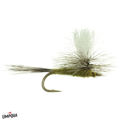Gulper Special Fly Olive