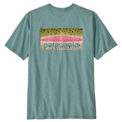 Patagonia Men's Take a Stand Responsibili-Tee Rainbow Run Blue Sage