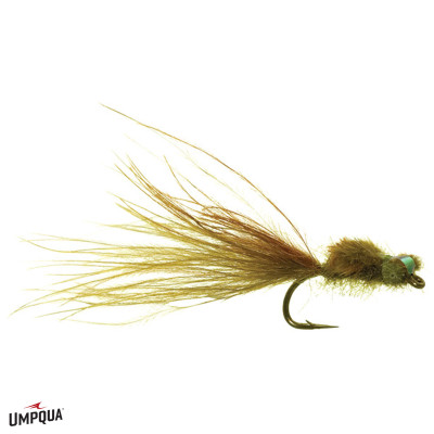 Scott's Damsel Fly Olive 14
